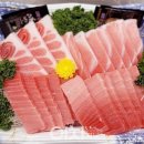 참치데이 이미지