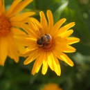 [골목]합창 이미지