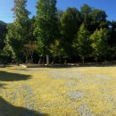 대방리 화장실 이미지