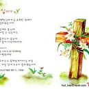 송광목장 Daum카페