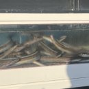 아리랑산장어구이 이미지