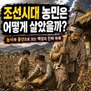 조선시대 농민은 어떻게 살았을까?｜농사와 흉년으로 보는 백성의 진짜 하루
