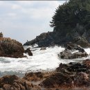 청송수산 이미지