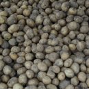 감자창고 이미지