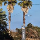 에이치티에이치 | 프롬에이치 티리조트 제주성산점 숙박 후기｜성산·우도 동선 좋은 제주가족숙소