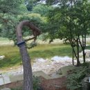 내설악송어횟집 이미지