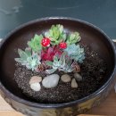 선화농원 이미지