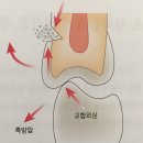 잠실원치과의원 이미지