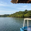 나로비치호텔 | [발리 여행] 더 멘장안 바이 라이프스타일 리트리트 제티 스노클링 로비나 이동