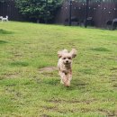 놀다가개유치원 이미지