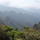 속초동물의료센터 이미지