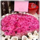 반야월로 이미지