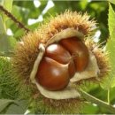 우분투마을 이미지