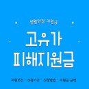 이룸인터내셔널