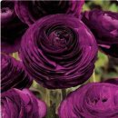 보정공인중개사사무소 이미지