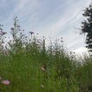 유기농장 이미지