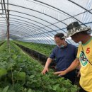 (주)미리본 이미지