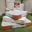 현대돌침대 울산점 | 울산 N32 아이슬란드에서 온 하이엔드 비건 매트리스 저속노화 폼매트리스 (펫매트리스 쪼꼬미매트리스...