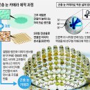 160도 이미지