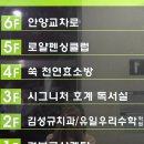 펄스젬 | [삐약이네 뷰티]안양 피부관리에 좋은 효소찜질방 '천연쑥효소방' 방문 후기