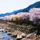 봄 - 완주군 지사제로 161 | 봄