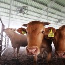 구내농장 이미지