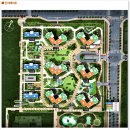 대광청과 이미지