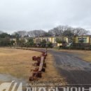 세화1리 이미지