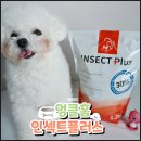 엉클펫 | 강아지 사료 눈물자국 식이 알러지 피부는 엉클홈 인섹트플러스