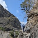 Manaslu Circuit Trek 이미지