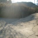 보성강7 이미지