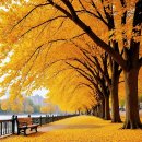 7080s Vintage Retro Old Pop Autumn is the best season for Love 이미지