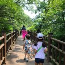 청계 맑은숲공원 이미지