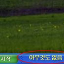 바탕 이미지