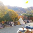 브라보캠핑장 이미지