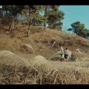 강호농약사 이미지