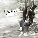 히비스