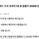 눈아들 아이패드 프로 3세대 12.9인치(중고)랑 아이패드 에어 4 (새거) 중에 뭐 살까 ..? 이미지