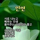 향기 나는 나무는 도끼에 향을 묻힙니다. 이미지