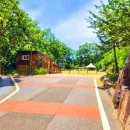 유아숲화장실 이미지