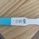 다정약국 | 부천마리아 3일배아 2개 이식후 + 15일 1차 피검사 후기와 증상