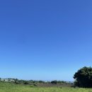 비자낭달집 이미지