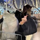 페이탑마트 | Polux, 루씨허, 야인선생, 대호춘, 헌지우이치엔, 탑마트, 치이카와 스토어(쇼핑몰 추천, 탑마트 꿀팁)