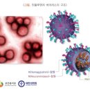 굿모닝소아청소년과의원 이미지
