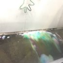 무지개 세차장 이미지