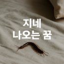 지네 티스토리