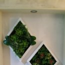 J&B(제이앤비)무인텔 이미지