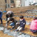 에코팜농장 이미지