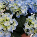 제중내과의원 이미지