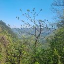 부연농장 이미지